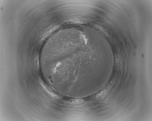 X0000060260398200511112026