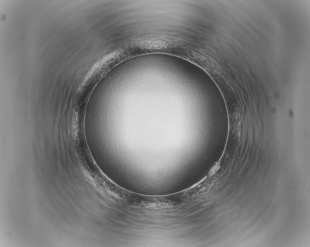 X0000060260400200511112026