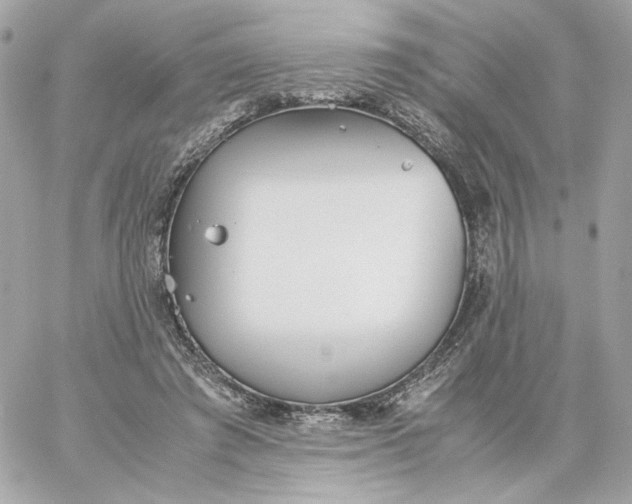 X0000060260401200511112026