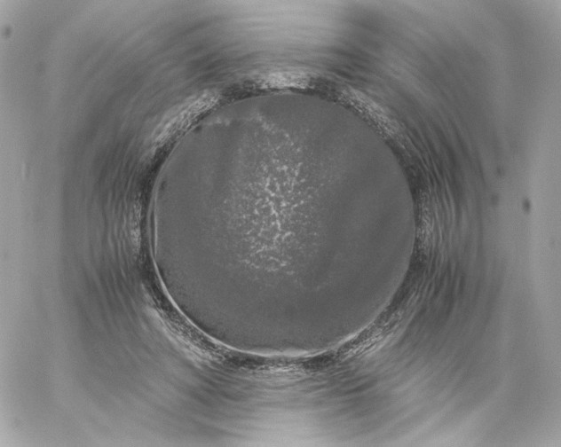 X0000060260402200511112026