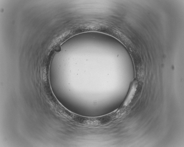 X0000060260403200511112026