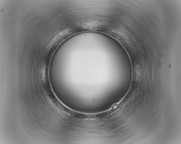 X0000060260404200511112026