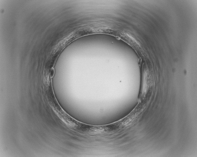 X0000060260405200511112026