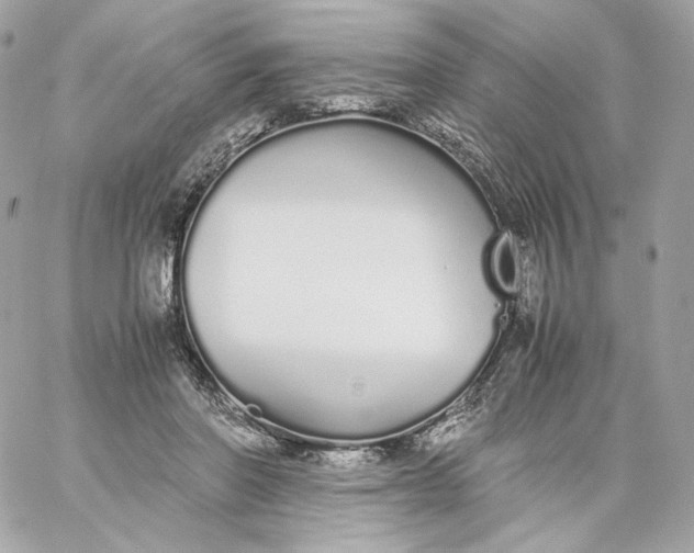 X0000060260406200511112026