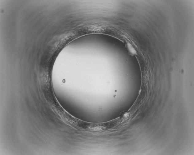 X0000060260407200511112026