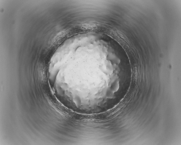 X0000060260408200511112026