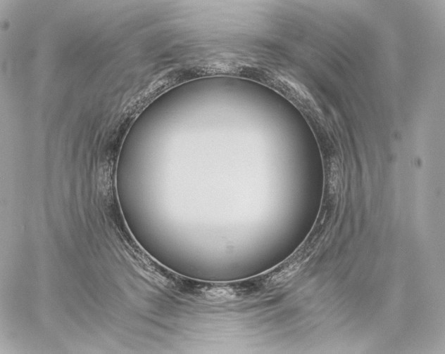 X0000060260409200511112026