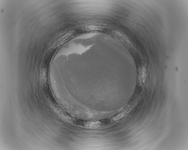 X0000060260410200511112026