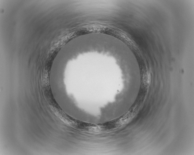 X0000060260411200511112026