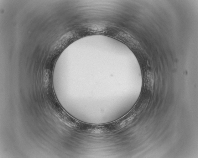 X0000060260412200511112026