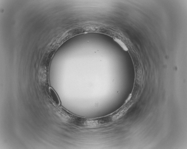 X0000060260413200511112026