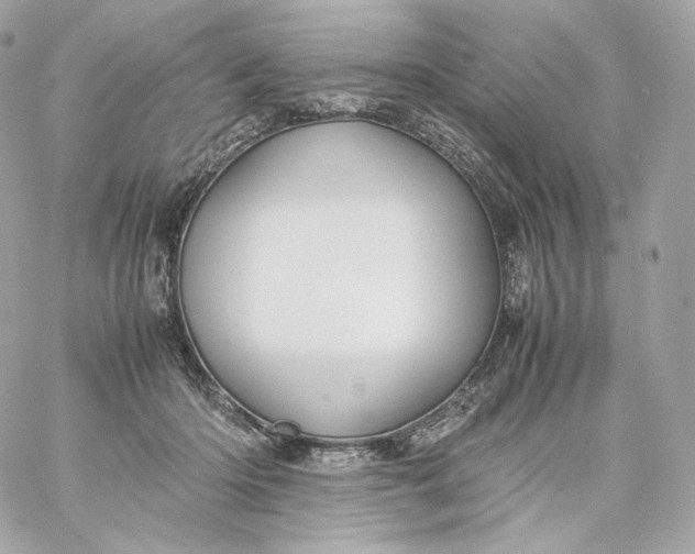 X0000060260414200511112026