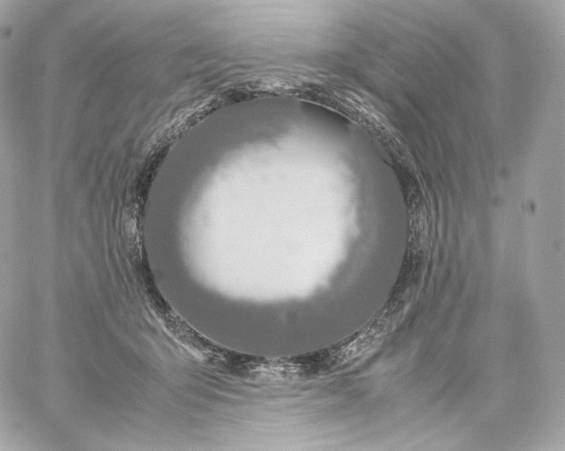 X0000060260415200511112026