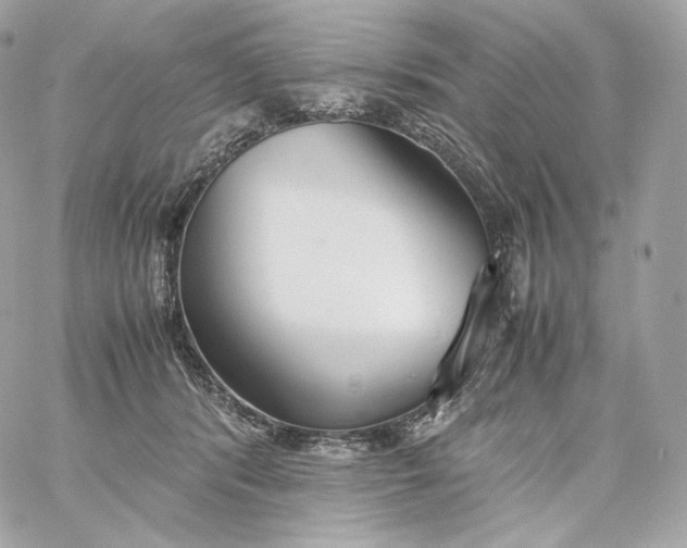 X0000060260416200511112026