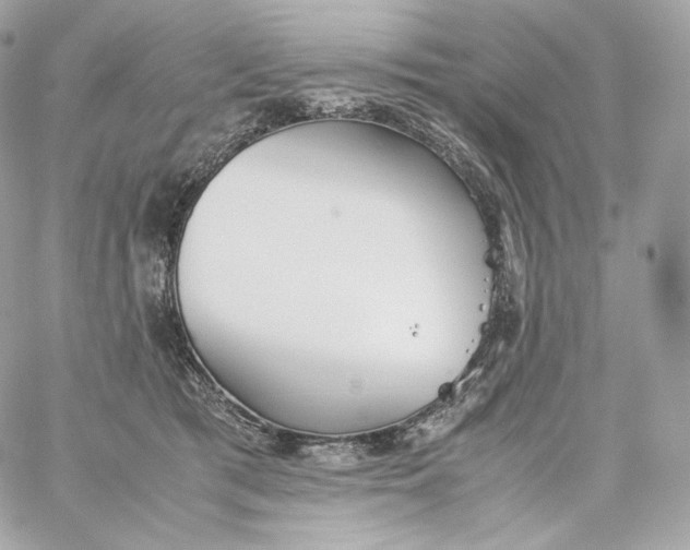 X0000060260417200511112026