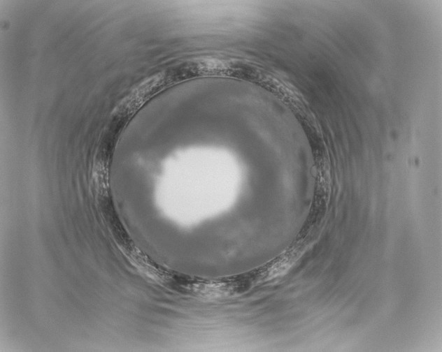 X0000060260419200511112026