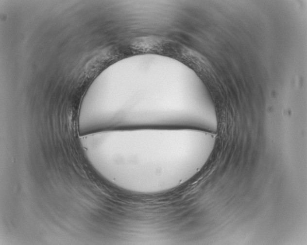 X0000060260420200511112026