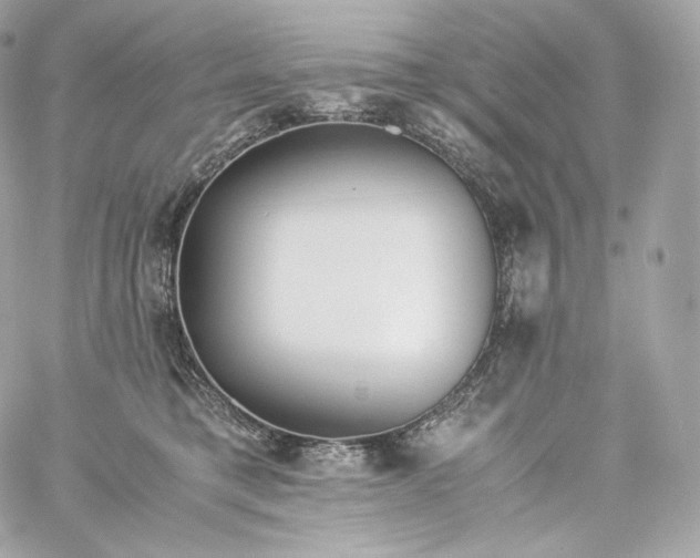 X0000060260421200511112026