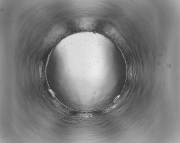 X0000060260424200511112026