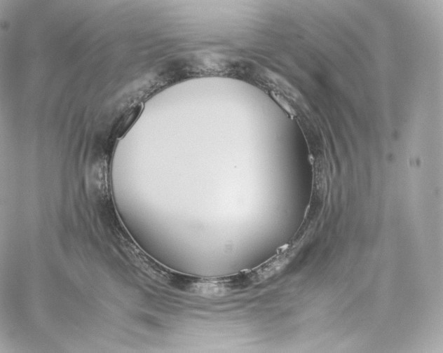 X0000060260425200511112026