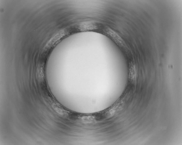 X0000060260426200511112026