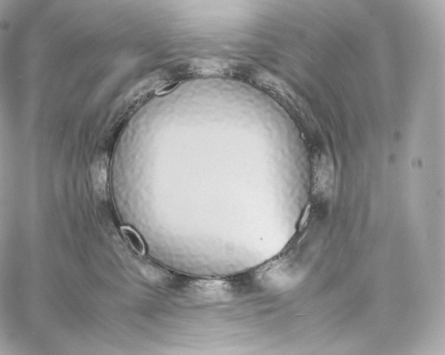 X0000060260427200511112026