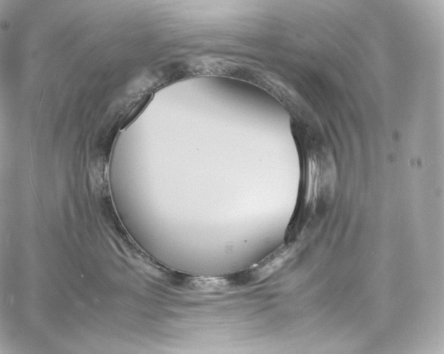 X0000060260429200511112026