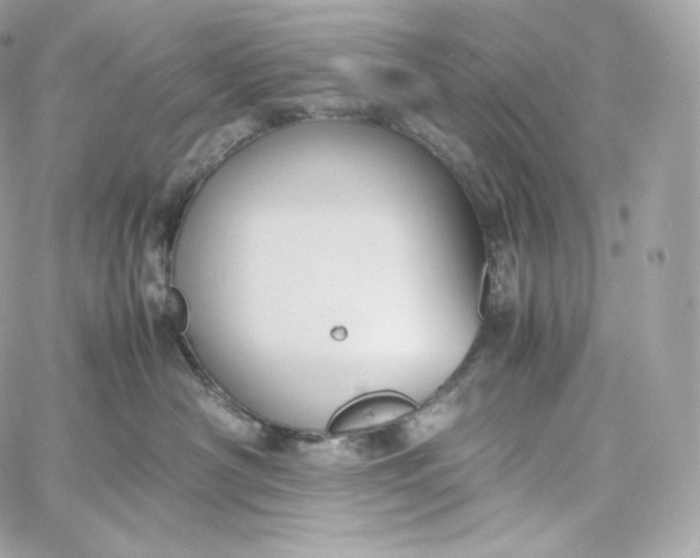 X0000060260430200511112026