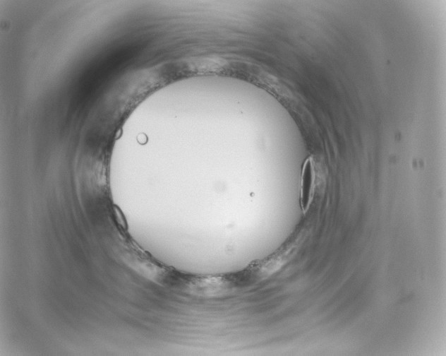 X0000060260431200511112026