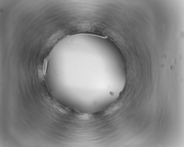 X0000060260432200511112026