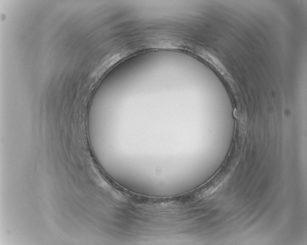 X0000060260433200511112025