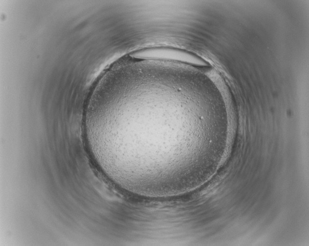 X0000060260434200511112025