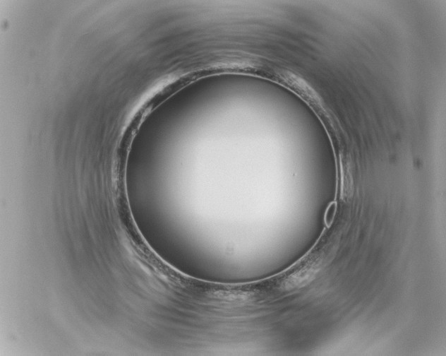 X0000060260435200511112025