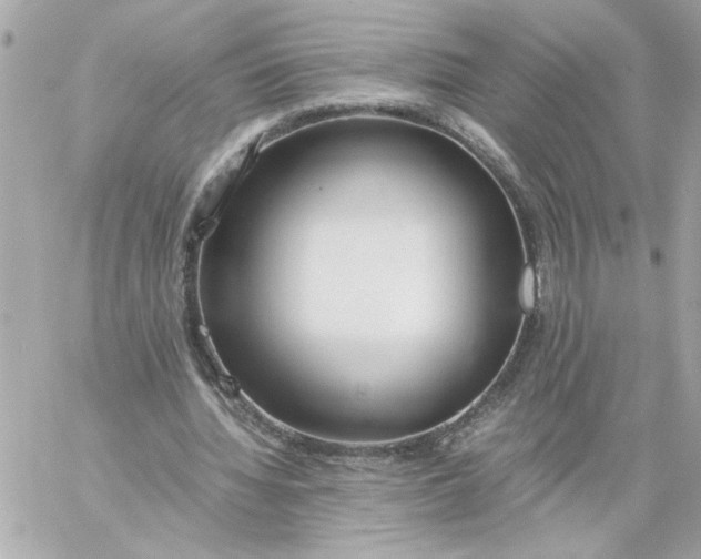 X0000060260436200511112025