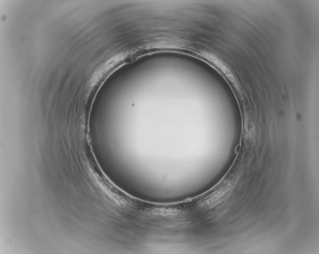 X0000060260437200511112025