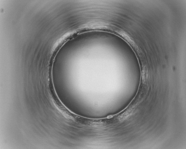 X0000060260438200511112025