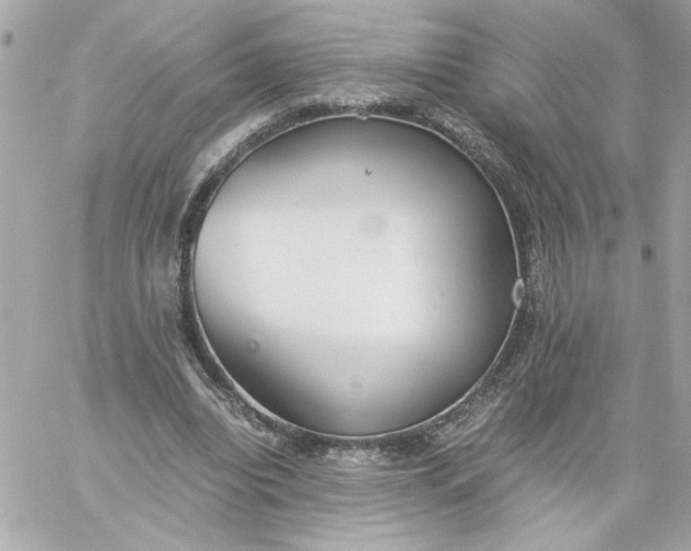 X0000060260440200511112025