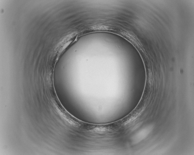 X0000060260441200511112025