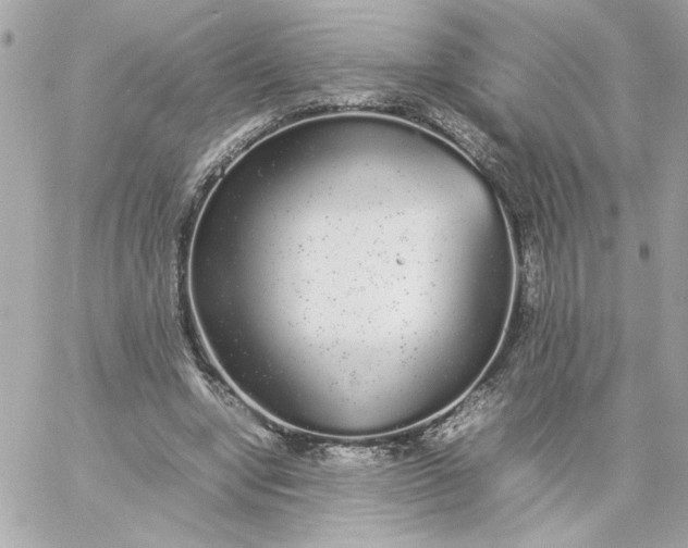 X0000060260442200511112025