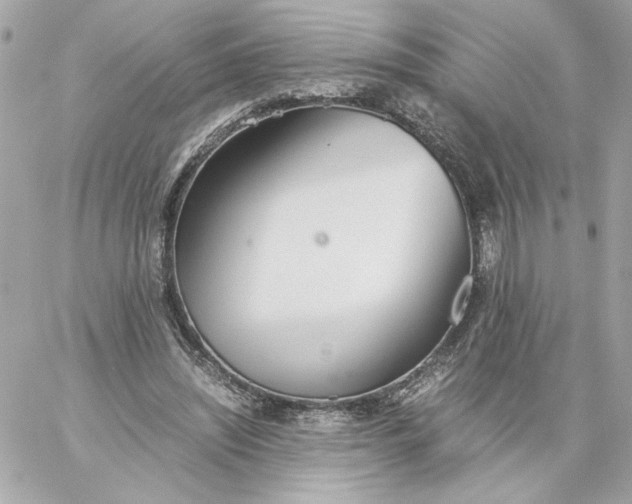 X0000060260444200511112025