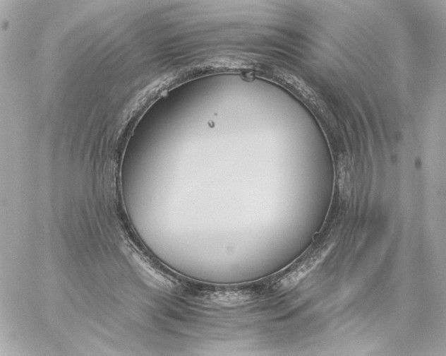 X0000060260445200511112025