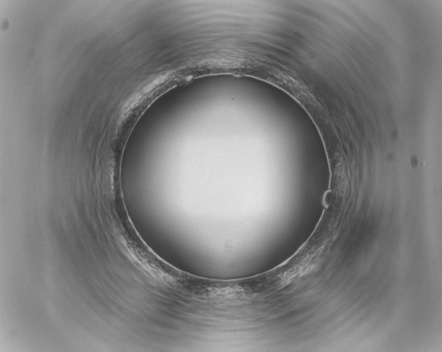 X0000060260446200511112025