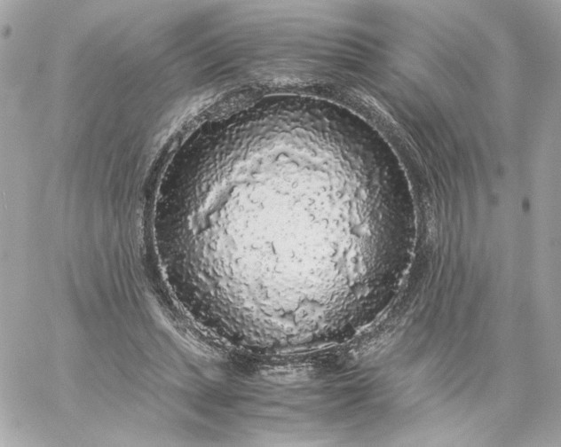 X0000060260447200511112025