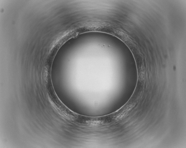 X0000060260448200511112025