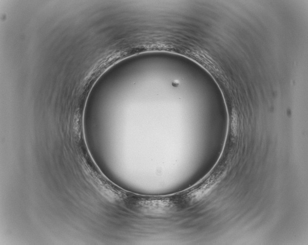 X0000060260449200511112025