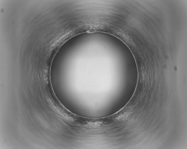 X0000060260450200511112025