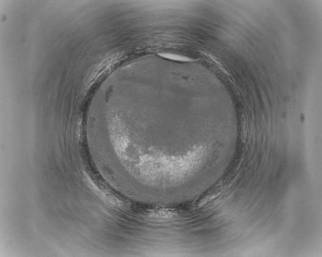 X0000060260451200511112025