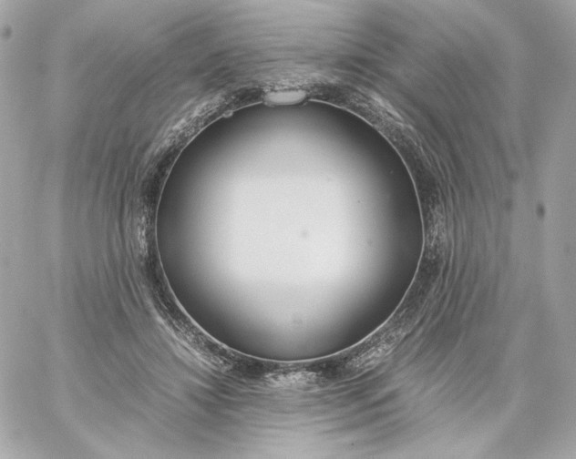 X0000060260452200511112025