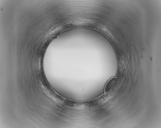 X0000060260454200511112025