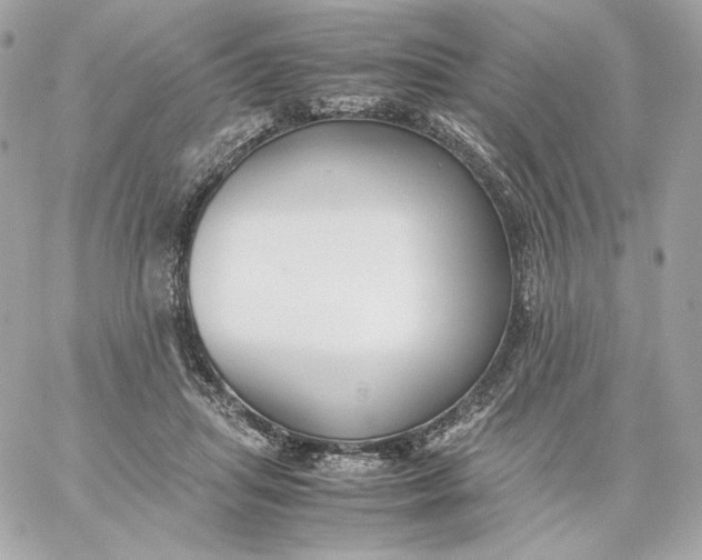 X0000060260455200511112025